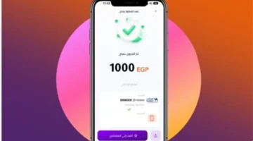 تحديث مهم.. انستا باي 2026 يقدم مميزات المدفوعات الفورية وطرق التحويل